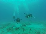 Hawaii Scuba divng 93