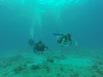 Hawaii Scuba divng 94