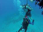 Hawaii Scuba divng 95