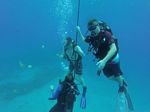 Hawaii Scuba divng 96