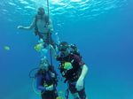 Hawaii Scuba divng 98