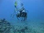 Hawaii Scuba divng 10