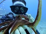 Hawaii Scuba divng 13