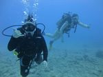 Hawaii Scuba divng 21