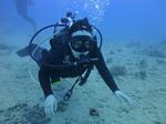 Hawaii Scuba divng 29