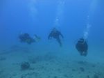 Hawaii Scuba divng 31