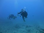 Hawaii Scuba divng 33