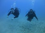 Hawaii Scuba divng 39