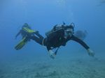 Hawaii Scuba divng 49