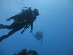 Hawaii Scuba divng 51