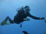 Hawaii Scuba divng 52