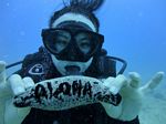 Hawaii Scuba divng 62