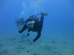 Hawaii Scuba divng 64