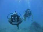 Hawaii Scuba divng 08