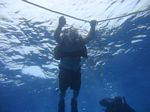 Hawaii Scuba divng 10