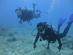 Hawaii Scuba divng 18