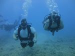 Hawaii Scuba divng 19