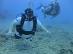 Hawaii Scuba divng 20