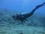 Hawaii Scuba divng 21