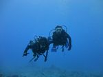 Hawaii Scuba divng 23