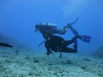 Hawaii Scuba divng 25