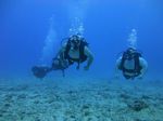 Hawaii Scuba divng 28