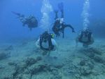 Hawaii Scuba divng 32