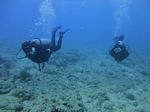 Hawaii Scuba divng 33