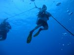 Hawaii Scuba divng 39