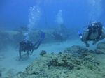 Hawaii Scuba divng 41