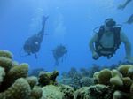 Hawaii Scuba divng 42