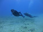 Hawaii Scuba divng 48