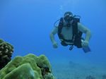 Hawaii Scuba divng 49