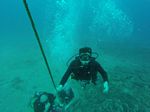 Hawaii Scuba divng 11