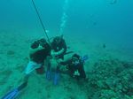 Hawaii Scuba divng 15