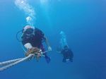 Hawaii Scuba divng 01