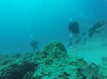 Hawaii Scuba divng 21