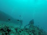 Hawaii Scuba divng 32