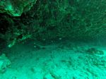 Hawaii Scuba divng 42