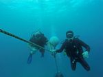 Hawaii Scuba divng 04