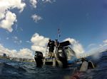 Hawaii Scuba divng 51