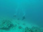 Hawaii Scuba divng 56