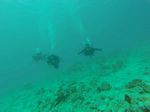 Hawaii Scuba divng 58