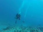 Hawaii Scuba divng 63