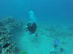 Hawaii Scuba divng 68