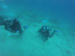 Hawaii Scuba divng 69