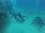 Hawaii Scuba divng 70