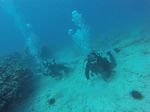 Hawaii Scuba divng 71