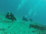 Hawaii Scuba divng 77