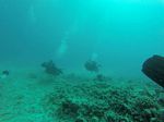 Hawaii Scuba divng 78